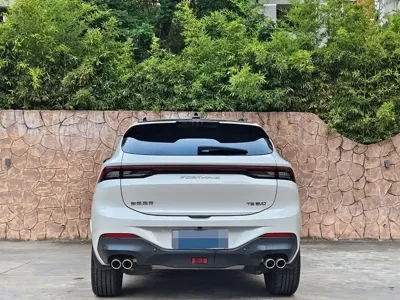 Fengxing Fengxing T5 EVO