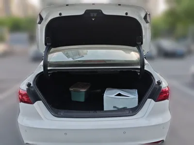 Geely Auto Binray