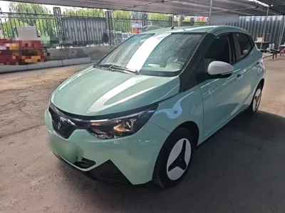 JMEV 易至EV2