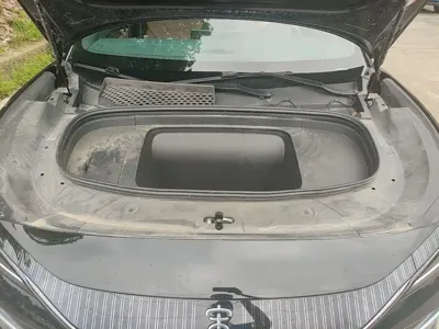 BYD L EV