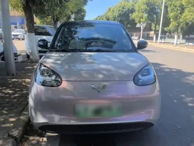 Wuling Bingo