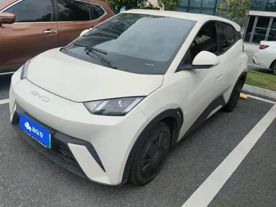 BYD Seagull