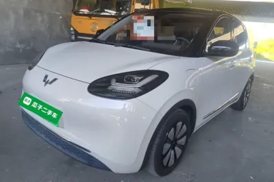 Wuling Bingo