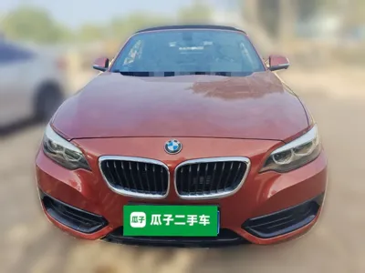 BMW 2 Series