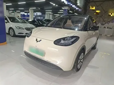Wuling Bingo