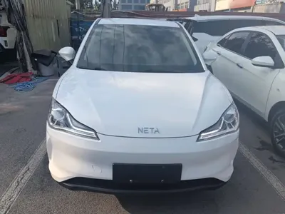 NETA Neta V