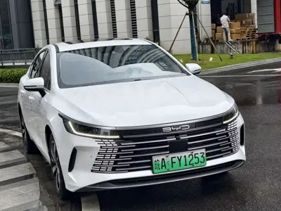 BYD Destroyer 05