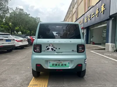 Galaxy Panda