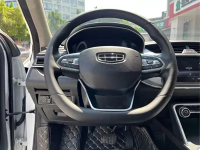 Geely Binrui