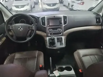 Fengxing Lingzhi PLUS