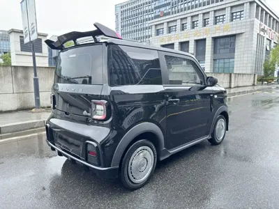 Galaxy Panda