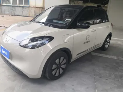 Wuling Bingo