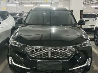 WEY Wey VV6