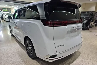 Denza D9