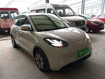 Wuling Bingo