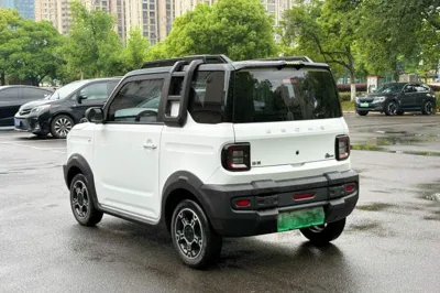 Geely Galaxy Panda