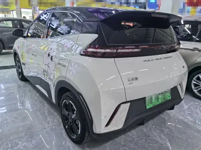BYD Seagull