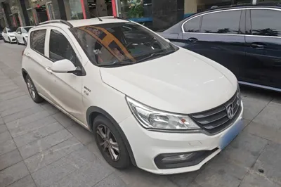 Baojun 310