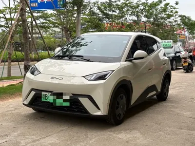 BYD Seagull
