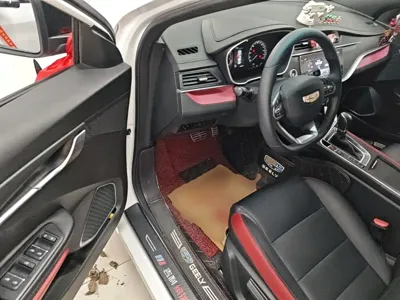 Geely Binrui