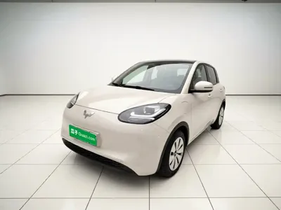 Wuling Bingo