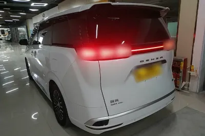 Denza D9