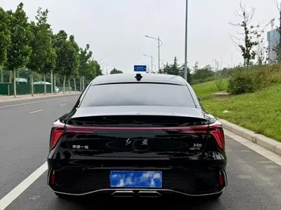 Hongqi Hongqi H6
