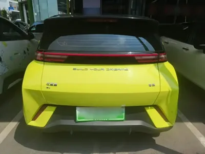 BYD Seagull