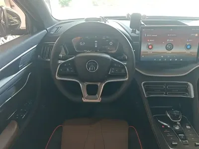 BYD PLUS