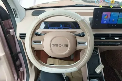 Geely Galaxy Panda