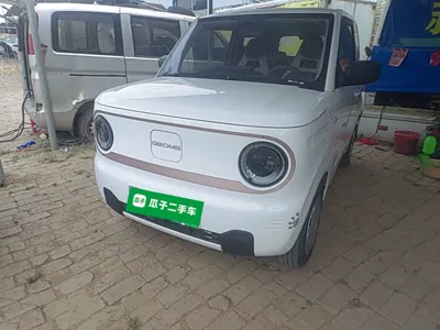 Geely Galaxy Panda