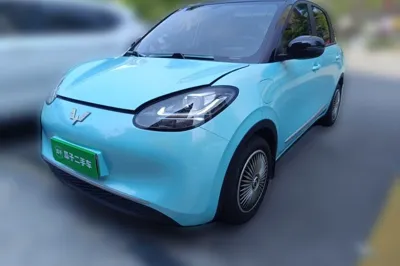 Wuling Bingo