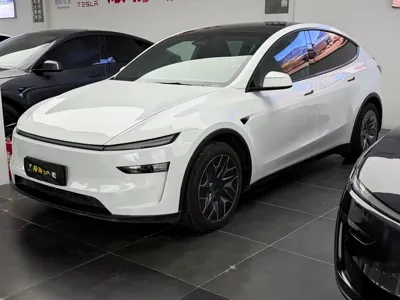Tesla Model Y L