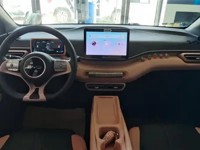 BYD Seagull