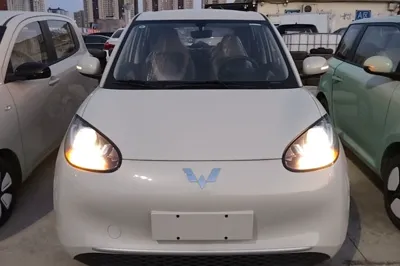 Wuling Bingo