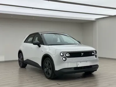 Nio Firefly