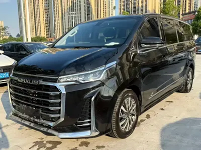 Maxus G20