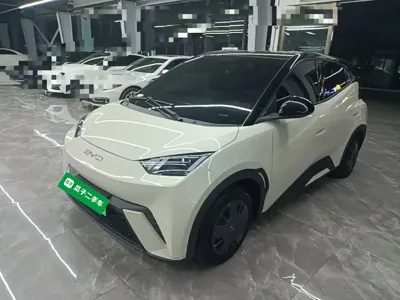 BYD Seagull