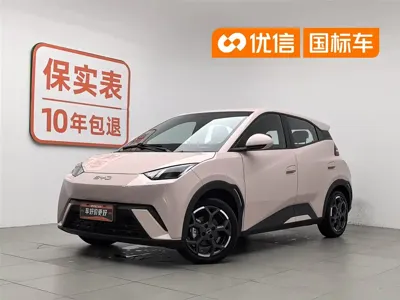 BYD Seagull