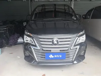 Fengxing Lingzhi