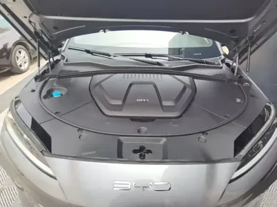 BYD PLUS New Energy