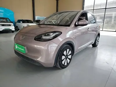 Wuling Bingo