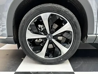 BYD PLUS New Energy