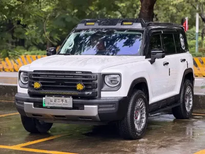 Haval Menglong New Energy
