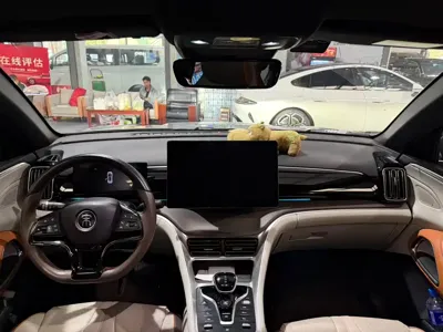 BYD Pro New Energy