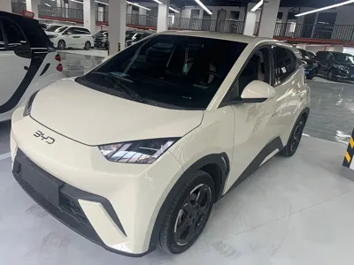 BYD Seagull