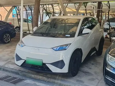 BYD Seagull