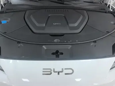 BYD PLUS New Energy