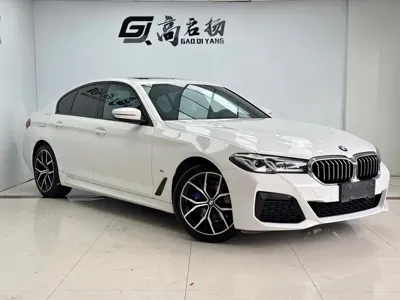 BMW 5 Series (Import)