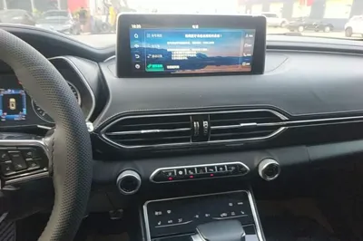 Zotye T600